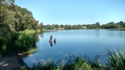 Winnsboro Lake 2